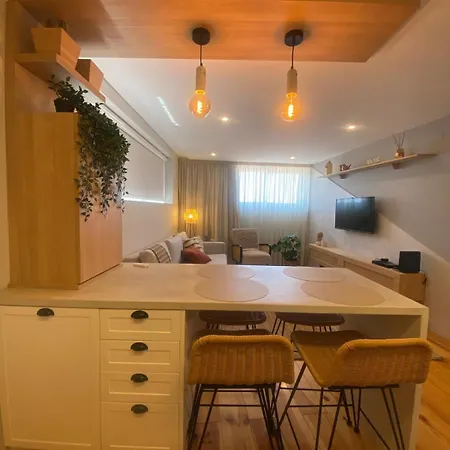 Museuflat * ポボア・デ・バルジン